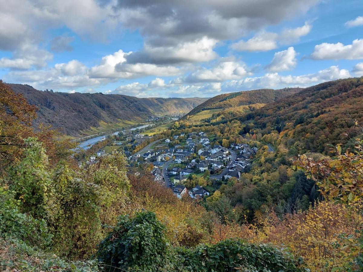 Ferienwohnung Meyver コッヘム エクステリア 写真