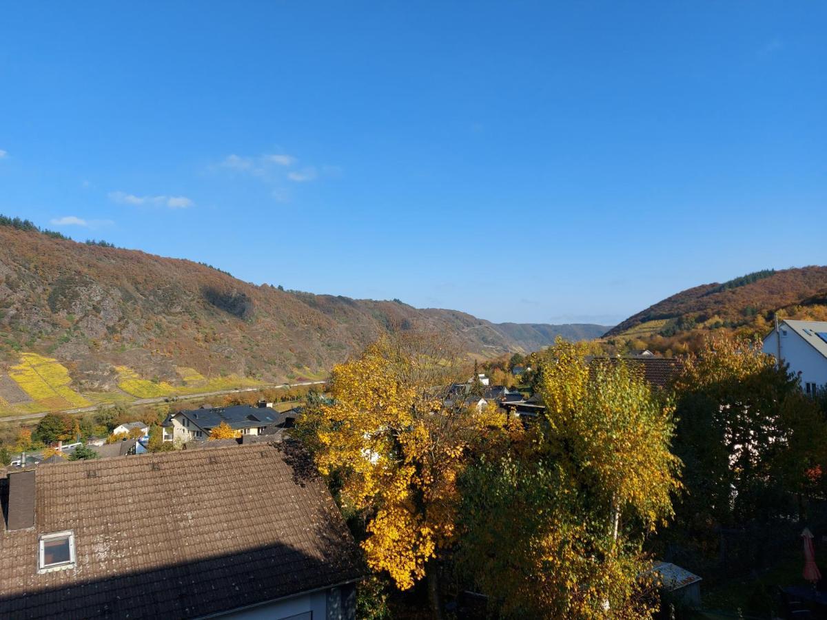 Ferienwohnung Meyver コッヘム エクステリア 写真